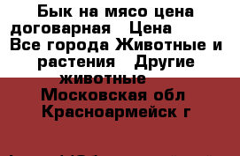 Бык на мясо цена договарная › Цена ­ 300 - Все города Животные и растения » Другие животные   . Московская обл.,Красноармейск г.